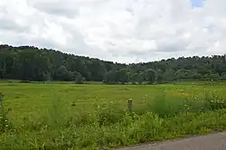 Countryside north of Frazeysburg