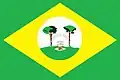 Flag of Japurá