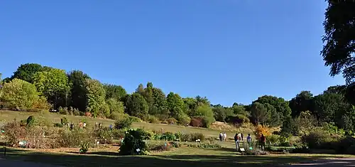 Panoramic view of the garden