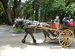A tub cart