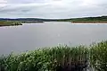 Medard Lake
