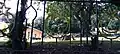 A view of the cemetery and mausoleum from outside of the gate.