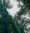 Satellite image shows all of Juneau