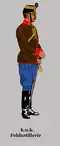 Field artillery officer
