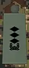 Superior lieutenant