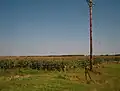 View from about one mile