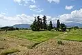 Panoramic view of precincts