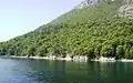 The Kalamos Island pine forest, an internationally important area for birds, in the background, with the edge of the inner Ionian marine protected area waters in the foreground.
