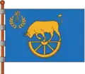Flag of Kamianske Raion