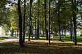 Kastre park