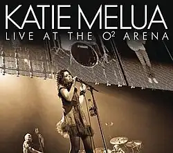 A sepiatone photograph of the artist and her band performing on stage shot from the floor below.