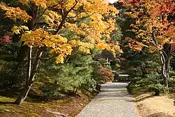 Garden path