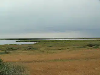 Korgalzhinskiy Nature Reserve