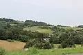 Kovačice - panorama