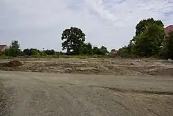 Manor ruins