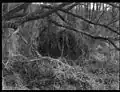 From the Landscape of Returns II series, 1993-1994