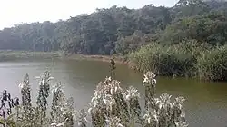 Kunkichira, Kunhome
