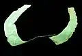 Copper lunula from Lüstringen, Germany, c. 4000 BCE