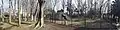 Panorama of the site