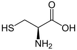 L-Cysteine (Cys&nbsp;/&nbsp;C)