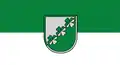 Flag (2009–2021), coat of arms being updated
