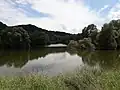 Natural section of the southeast arm of the lake.