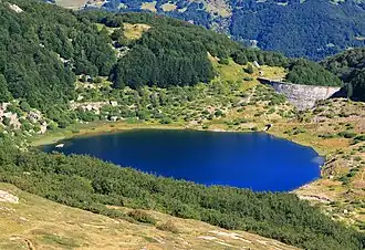 A body of water surrounded by greenery.