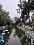 Paddle boats on the lake