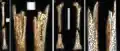 Burial 7. Perimortem fractures on long bones.
