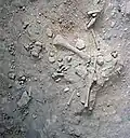 Burial 13. Excavation at phase 1.