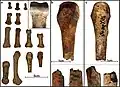 Burial 17 - Hand bones that were within the adult cranium. Possible perimortem fracture and bite marks.