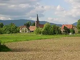 Overview