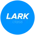 Class Flag