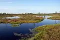 Kakerdaja bog