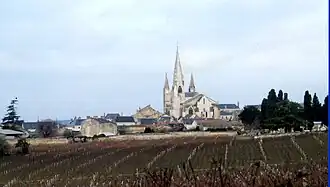 A general view of Le Puy-Notre-Dame