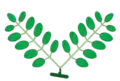 geminate-pinnate