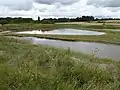 Levington Lagoon
