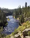 Lewis River