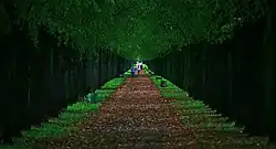 One of the alleys