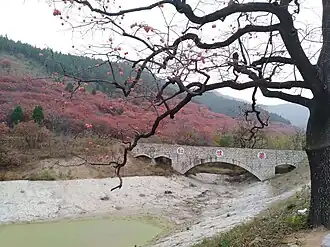 Mountain Yi