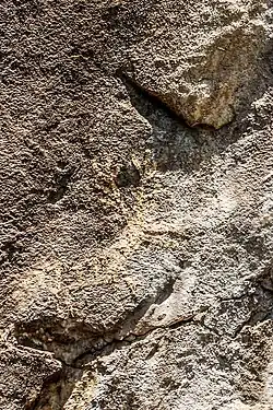Lipci rock art