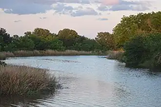 Live Oak Bayou, Skillern Tract, Jocelyn Nungaray NWR