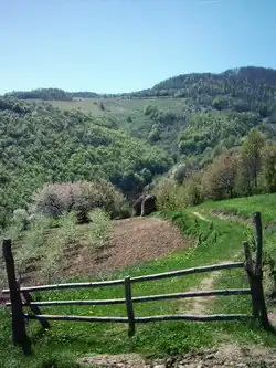 Ljubićevac on Rudnik Mt, near Stragari