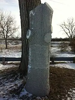 Lone Tree