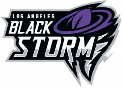 Team logo