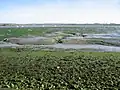 Chichester Harbour