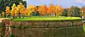 Autumn atop bastions