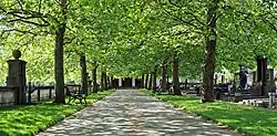 Tree avenue to the ceremonial building.