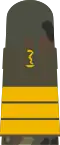 Mounting loop