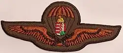 Parachute rating for enlisted personnel